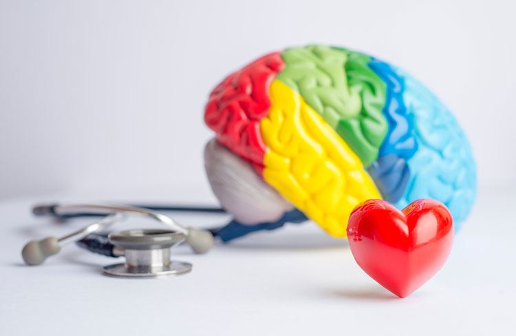 Healthy Living for Your Brain and Body